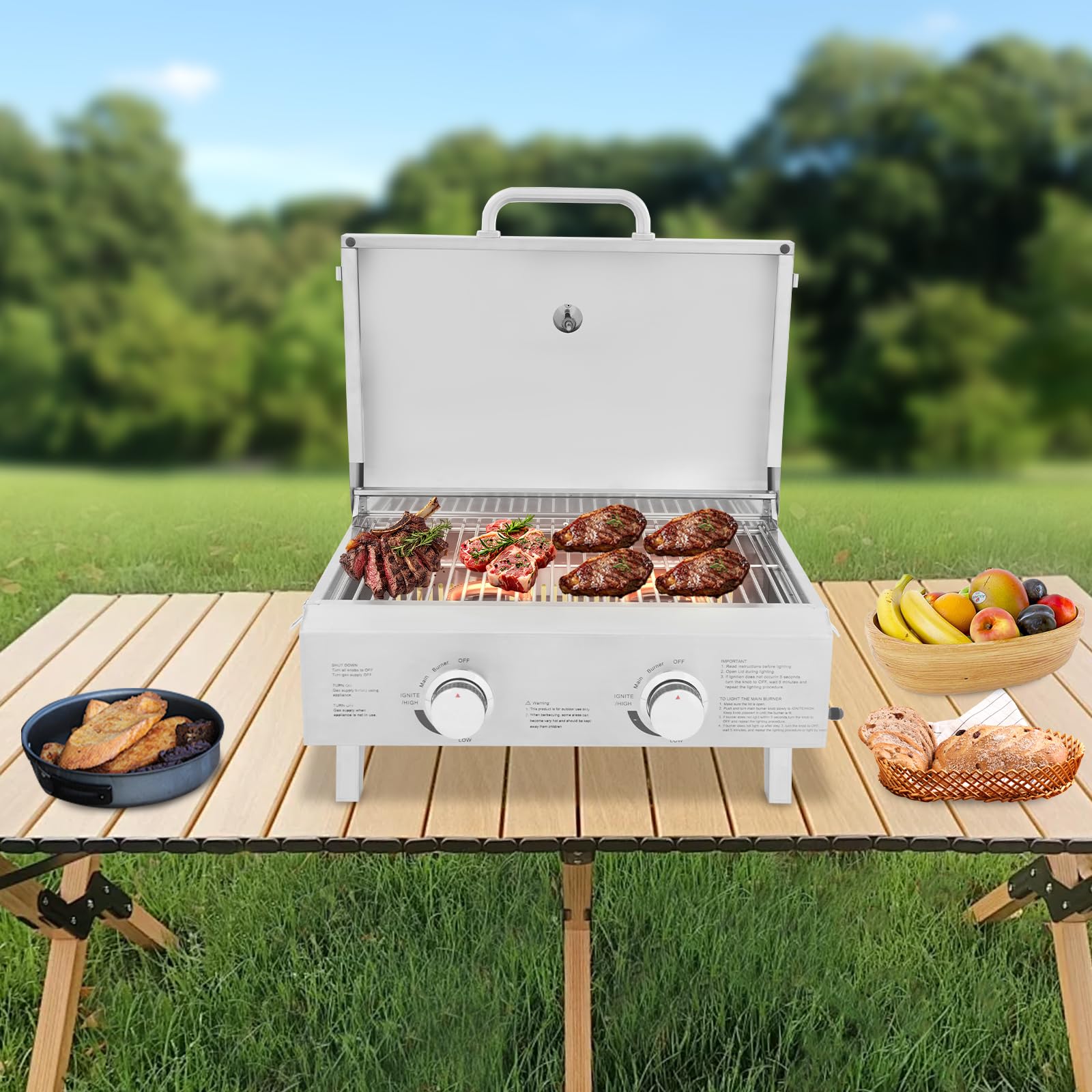 Barbecue à gaz portable en acier inoxydable avec 2 brûleurs, barbecue pliable pour arrière-cour, jardin, terrasse et pique-nique, 22 x 18 x 15 pouces