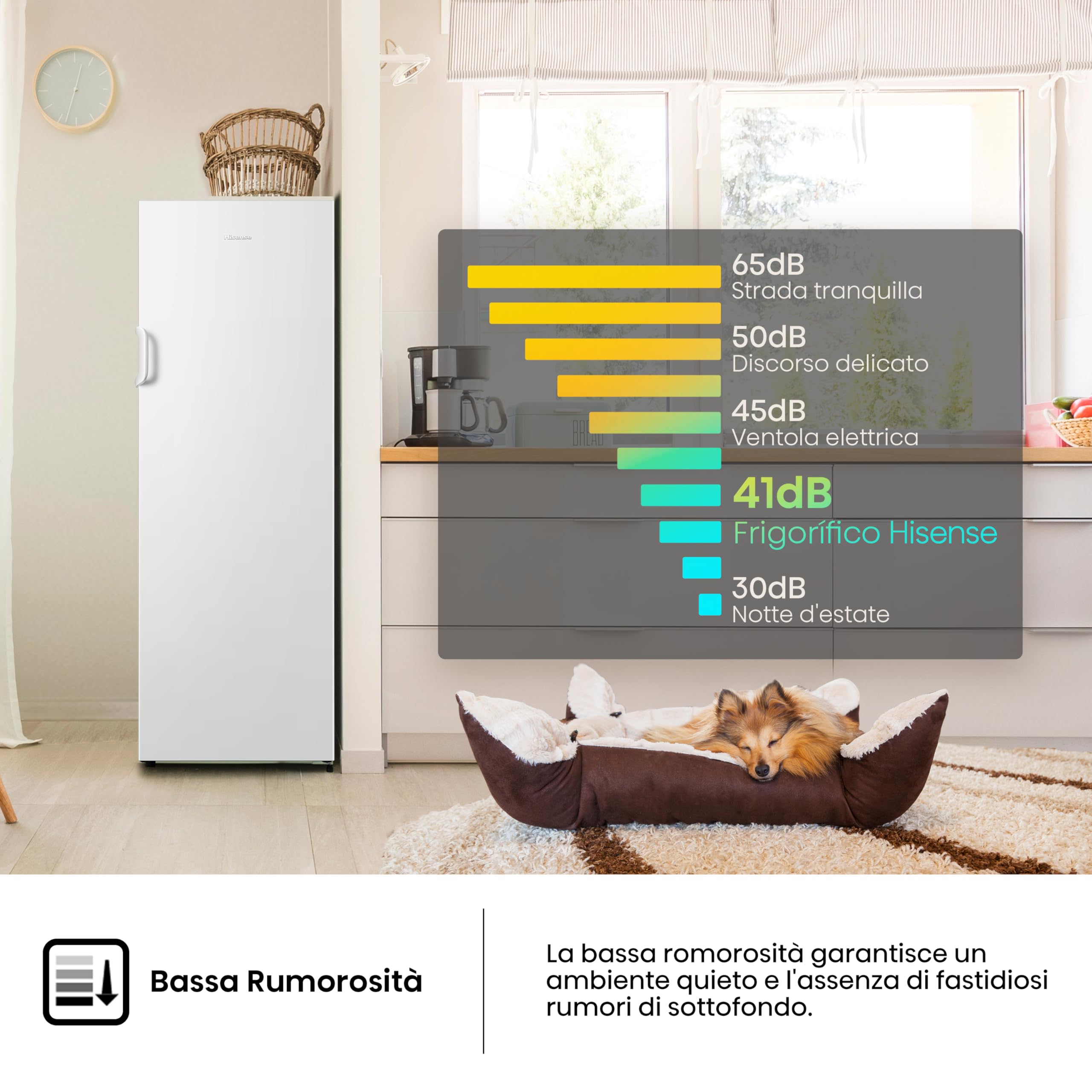 Hisense FV245N4AW2 Freezer Verticale, Total No Frost, 194 L, Bianco, Porte reversibili