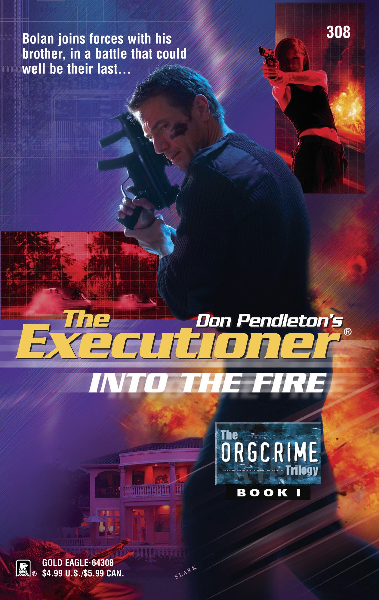 Into the Fire (Executioner, 308)