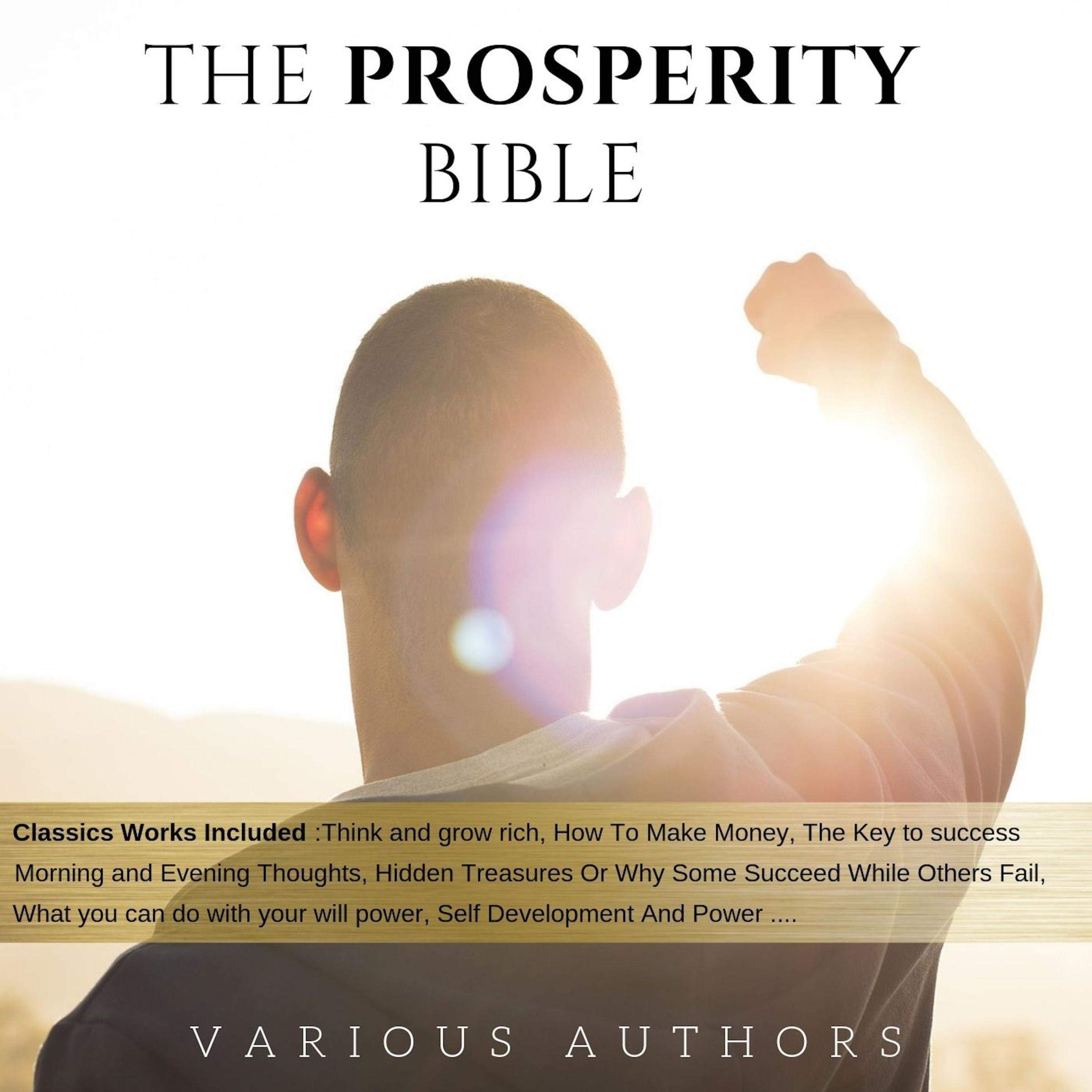 The Prosperity Bible