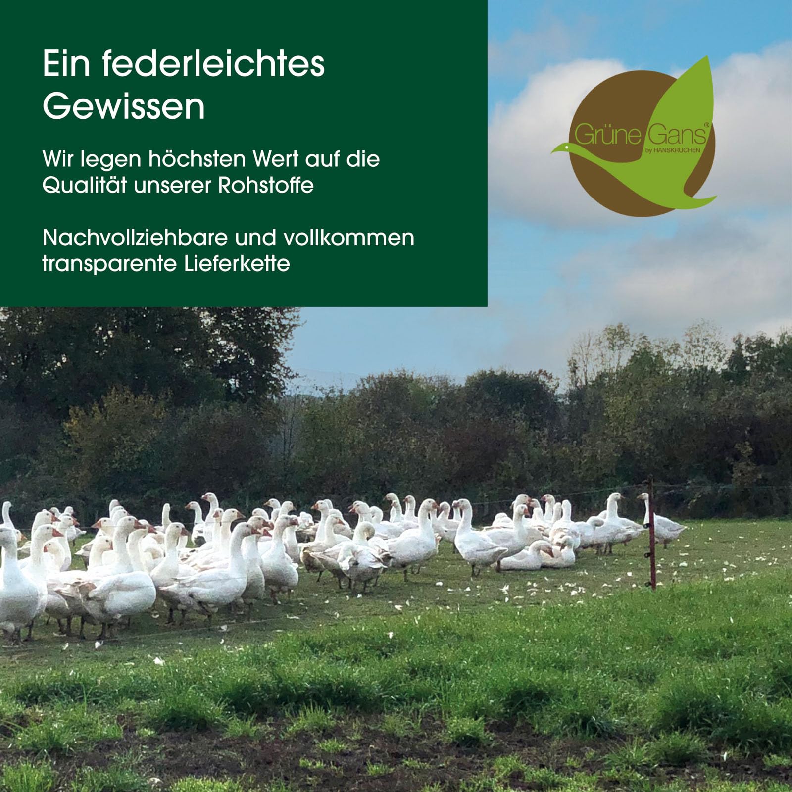 Premium de Luxe Daunenkissen 80x80 cm - Made in Germany Daunen Kopfkissen aus 100% Baumwolle - 3 Kammer Daunenkissen für Allergiker [1er Pack]