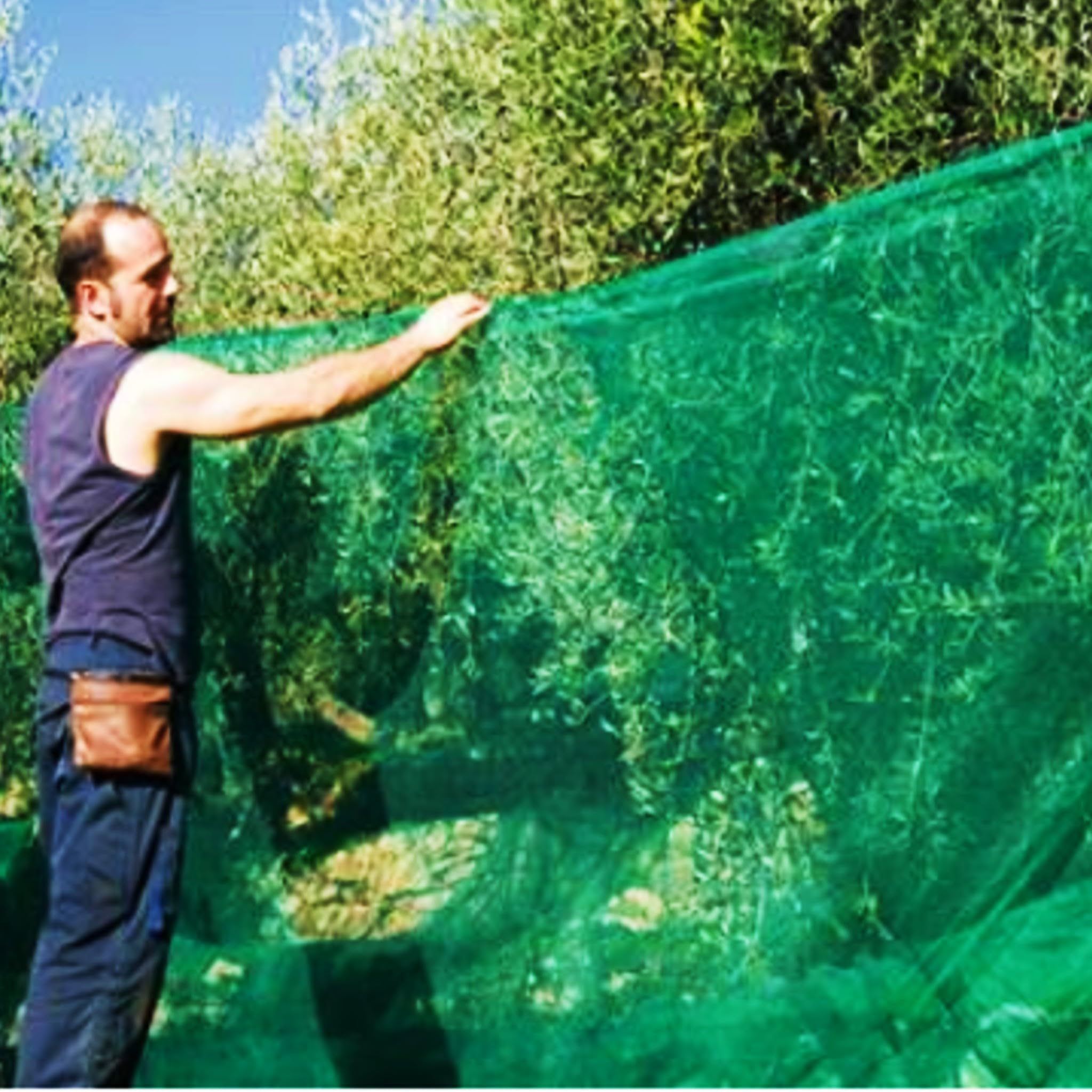 Malla de protección de fachadas en obras para evitar caída de escombros de balcones y andamios – Polietileno tejido Alta densidad 60 g/m2-Otros Usos en jardín y agricultura (Verde - 3 x 20 metros)
