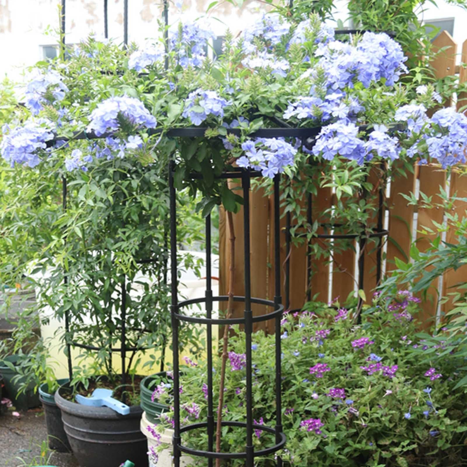 Treille de Jardin Vertical pour Plantes Grimpantes - 210 cm - Support en Métal Inoxydable pour Glycines, Roses & Vignes - Support Floral Extérieur Durable avec Parasol (Noir)