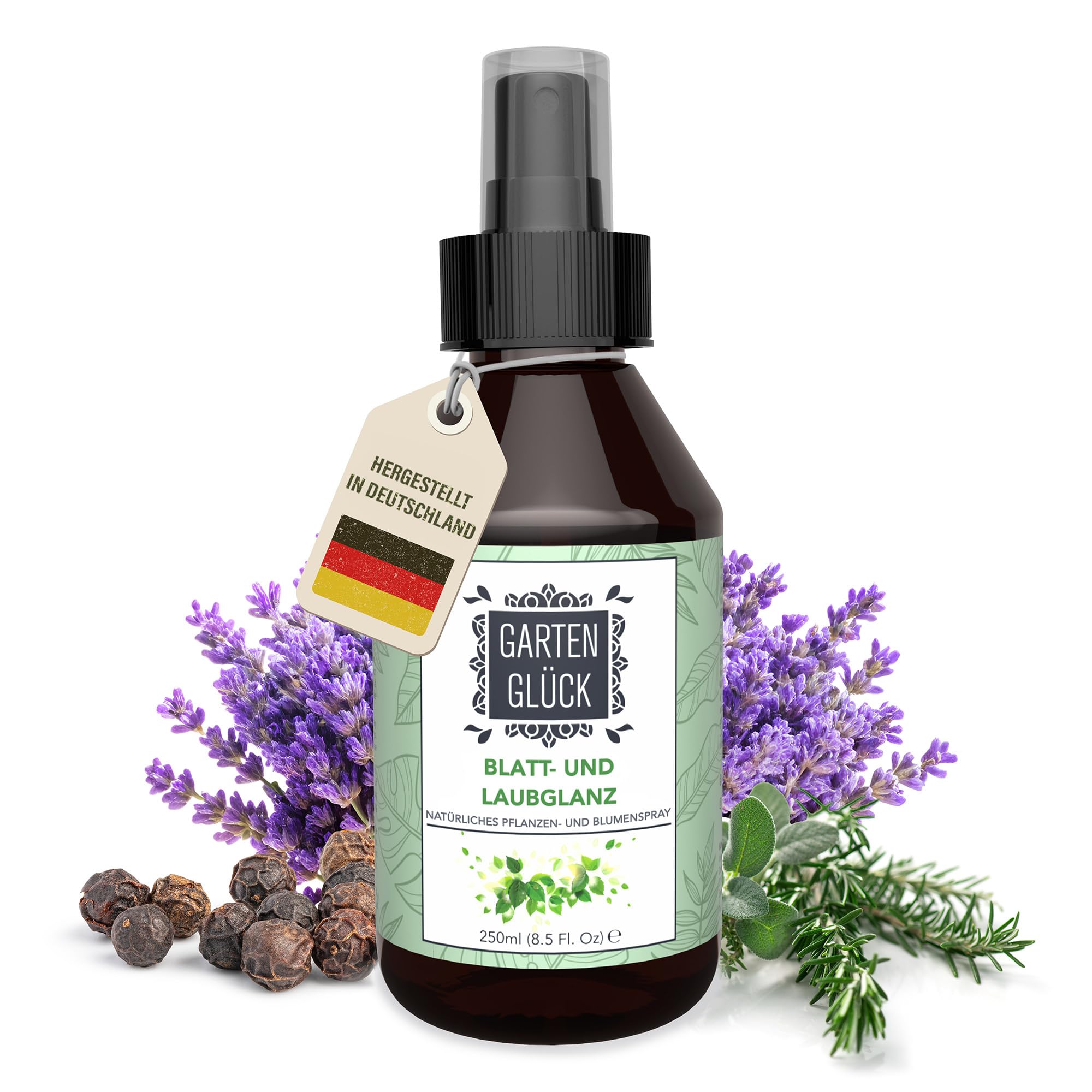 chili saatgut gewinnen Bio Chili Lemon Drop Samen kaufen ➤ Bio-zertifiziert main image 1
