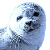 blueseal.eu
