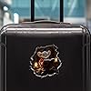 Product Photo 7