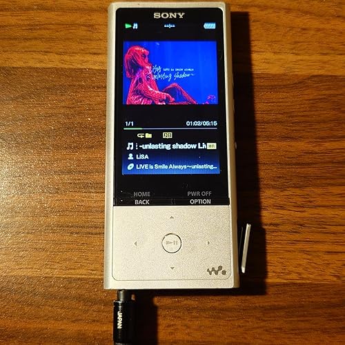 Amazon.co.jp: ソニー ウォークマン ZXシリーズ 128GB NW-ZX100