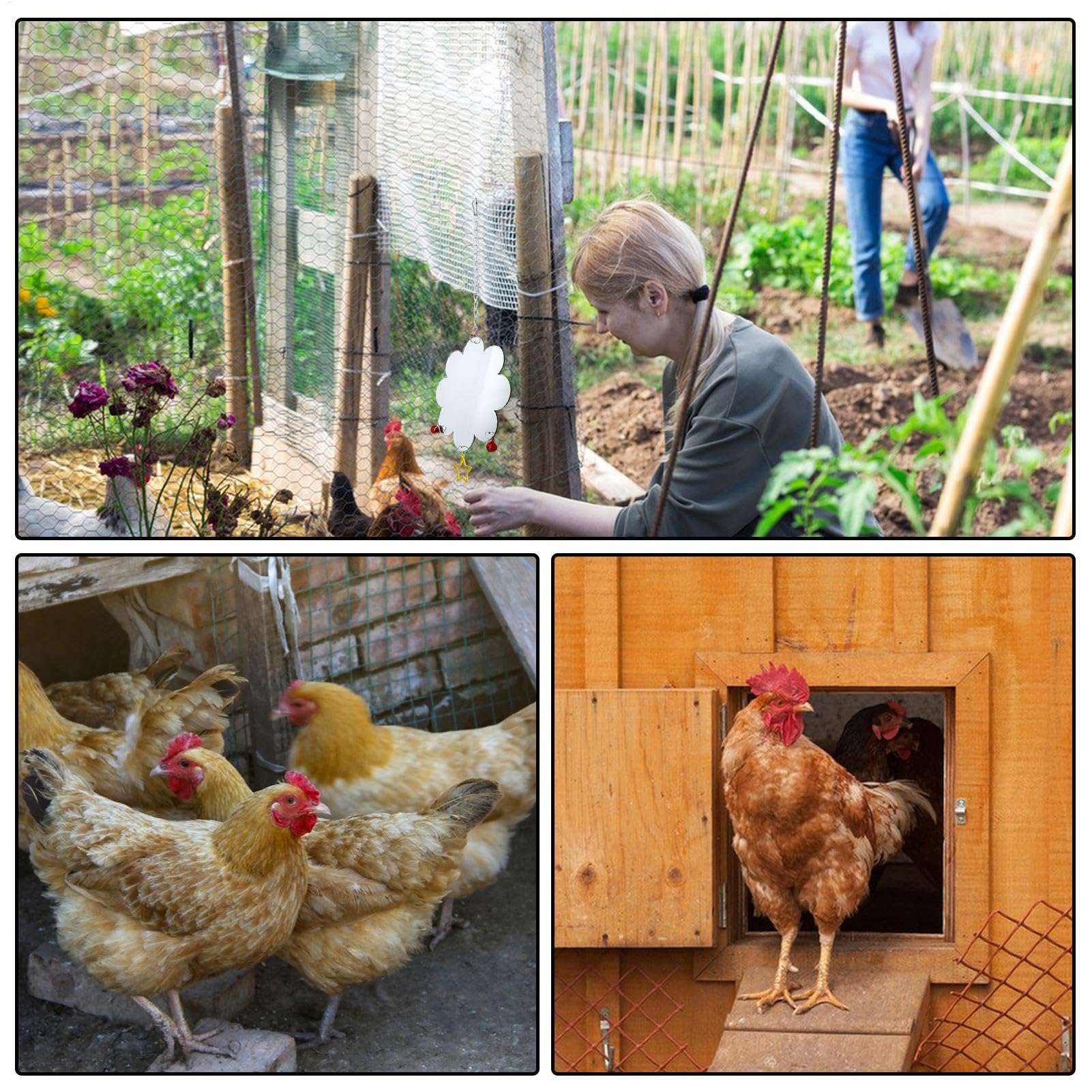 View 4