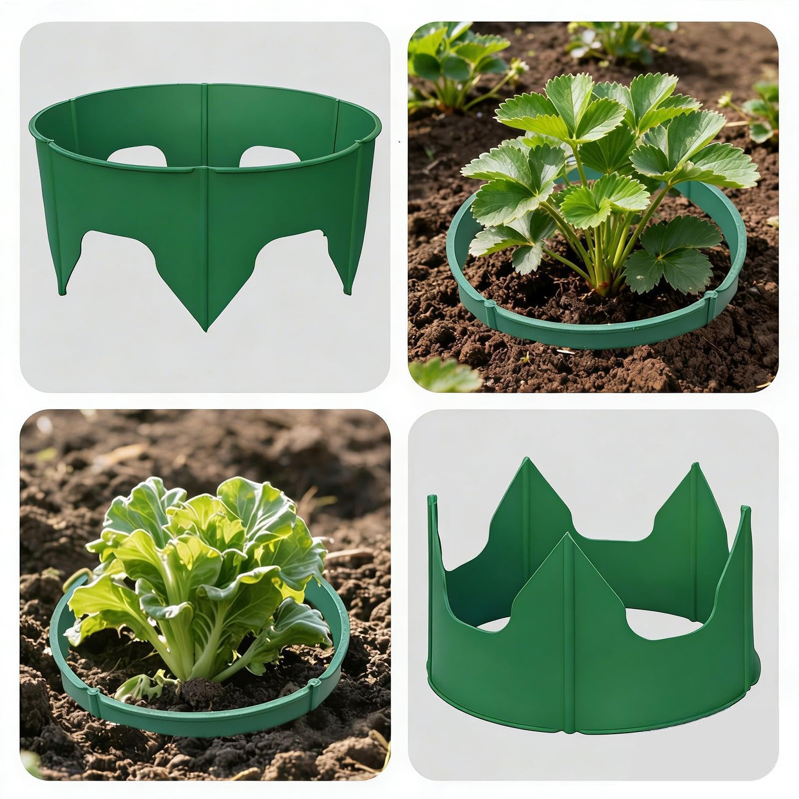 Pflanzenwachstumsringe -bewässerungsring Zur Optimale Bewässerung-Gießring - 10 Zoll Runde Gartenumrandung 24 Stück | Wiederverwendbare Wachstumsringe Kunststoff - Robuste Beetbegrenzung Aus Wetterfe