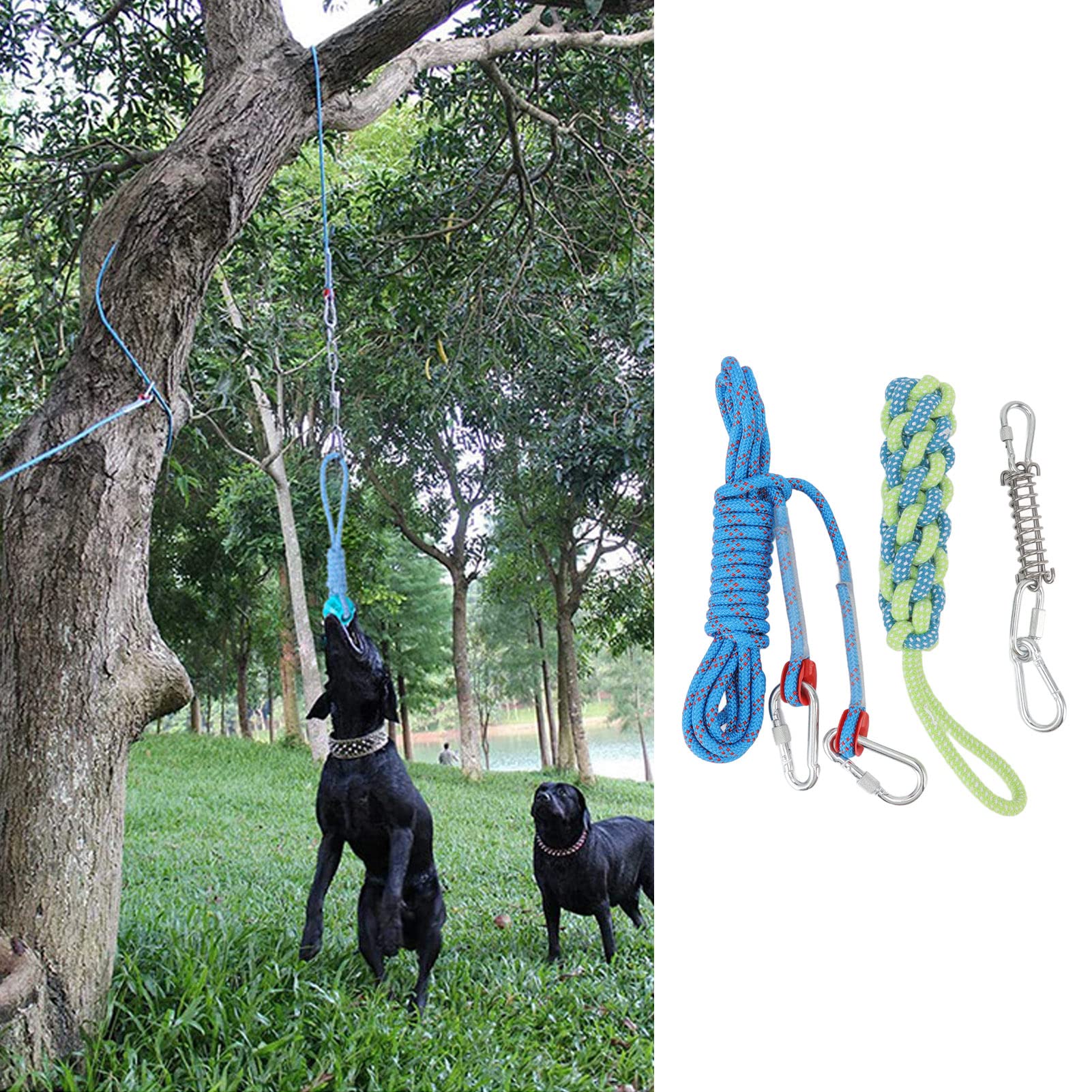 Yitre Spring Pole Dog Rope Toy, Interactive Dog Bungee Rope Rust Protection Muscle Builder for Dogs for Outdoor Play - Image 2