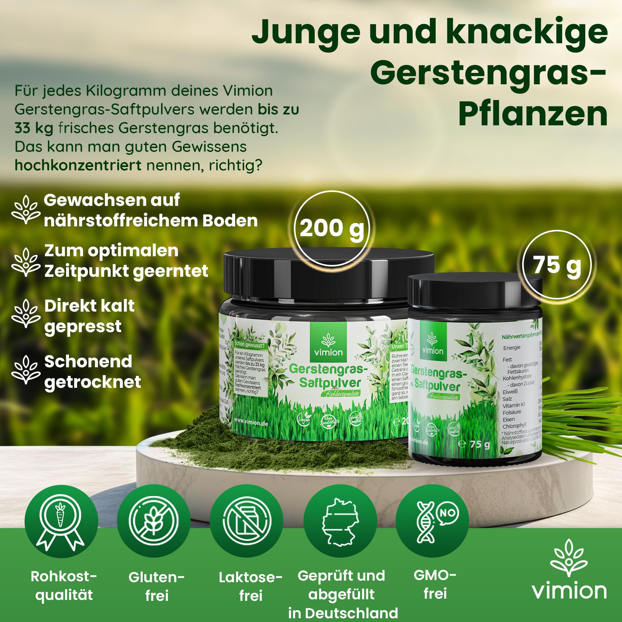 pures Gerstengras-Saftpulver - 75 g Premium-Rohkostqualität - natürlich reich an Eisen, Folsäure, Vitamin K & Chlorophyll - 100% vegan - Green-Superfood - Plastikfrei im Braunglas