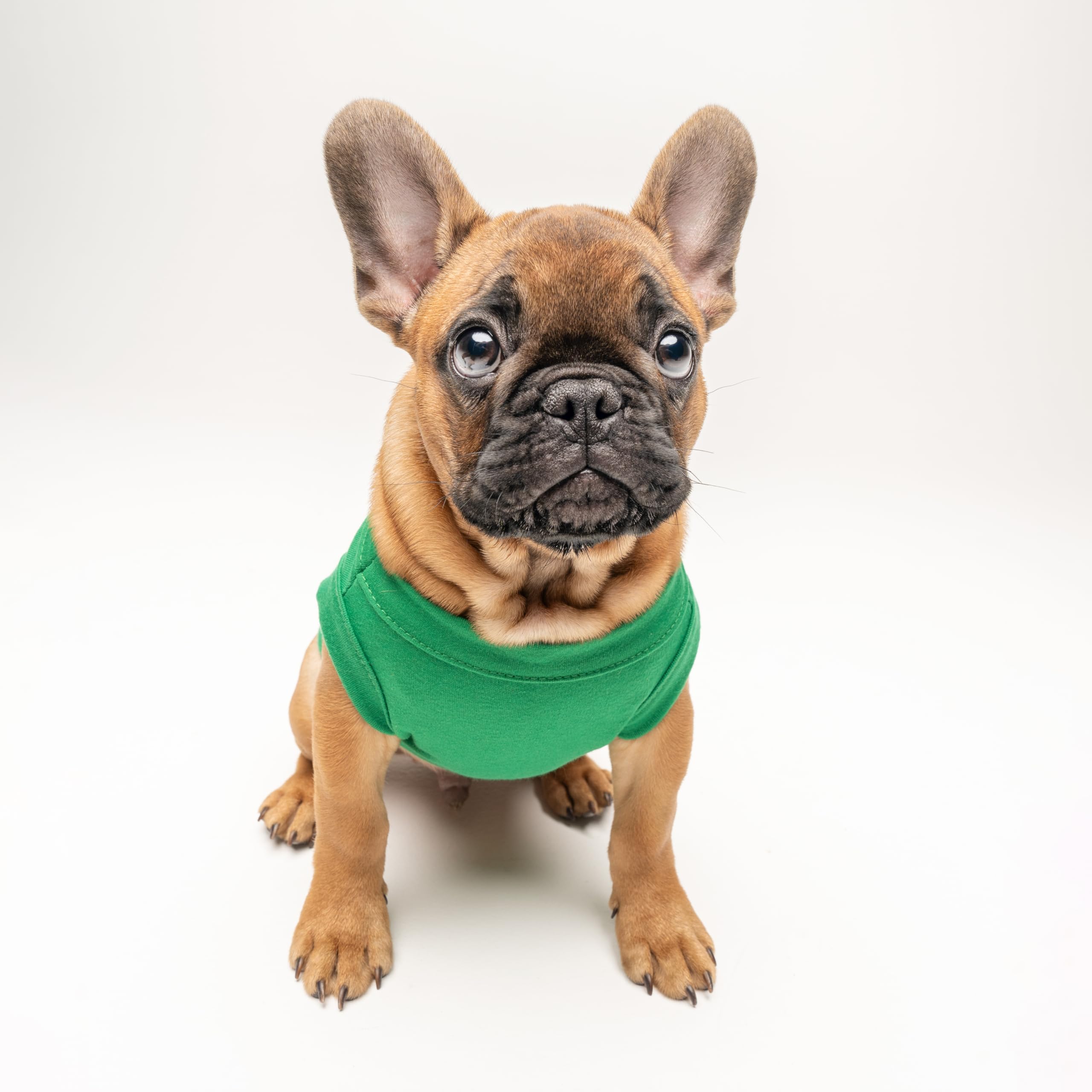 Naughty Dog Tee Shirt | Sleeveless | Christmas | Festive Holiday Costume | Santa Claus & Elf | Stocking Stuffers | Photoshoot Prop (Green, 3X-Large 105)