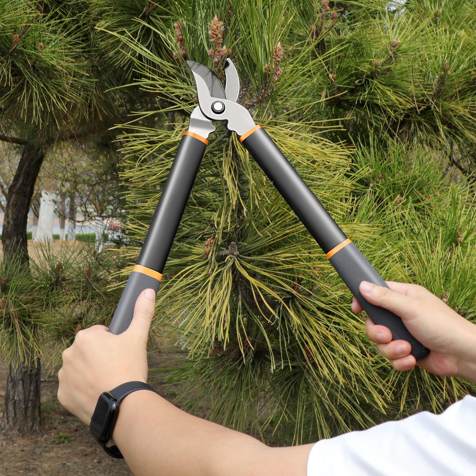 AIRAJ 42,5 cm, potatura bypass, potatura da giardino, potatura senza sforzo (4 cm max), lama in acciaio resistente alla ruggine, adatta per il taglio orticolo