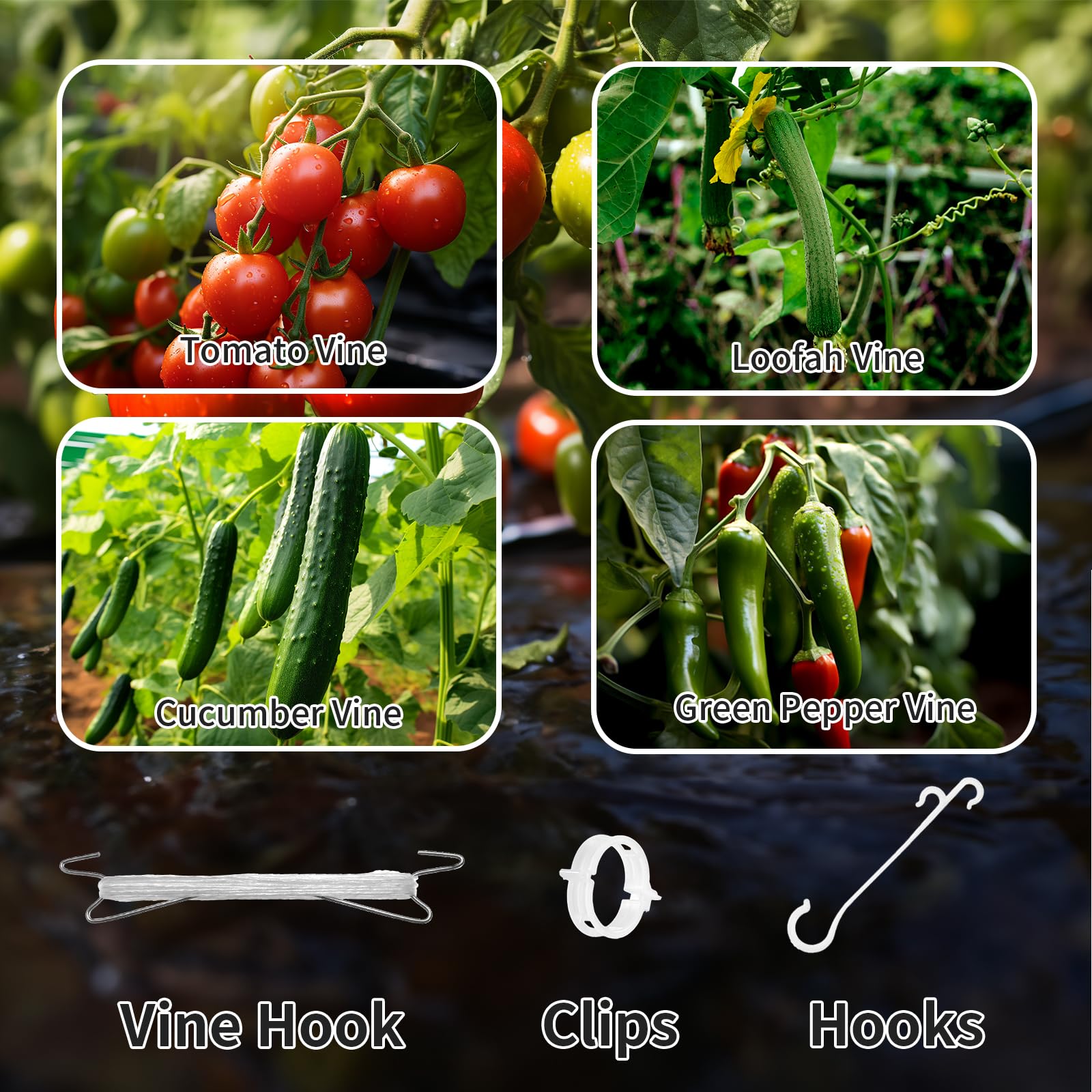 Tomatenhaken mit Schnur, 30 Stück Tomatenpflanzen-Stützclips, Tomatenhalter-Haken mit 10 m Schnur für Kletterpflanzen, Tomaten, Gurken, Kirschen, Gemüse (30, Weiß)