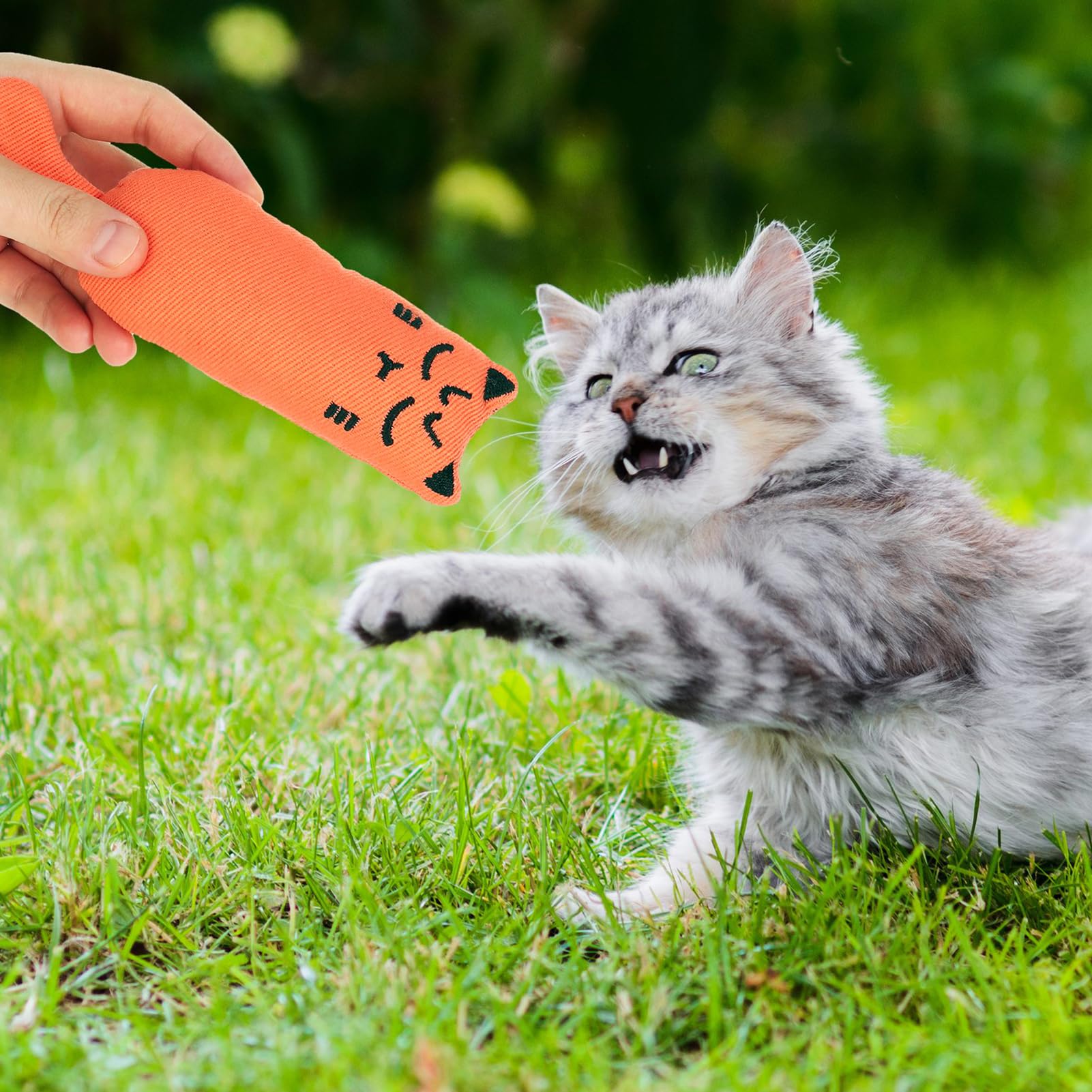 GSrenyu 6 Pieces Catnip Cat Toys,Cat Nip toys for Cats Chew Toy for Pet Cats Playing Chewing Teeth Cleaning - Image 4
