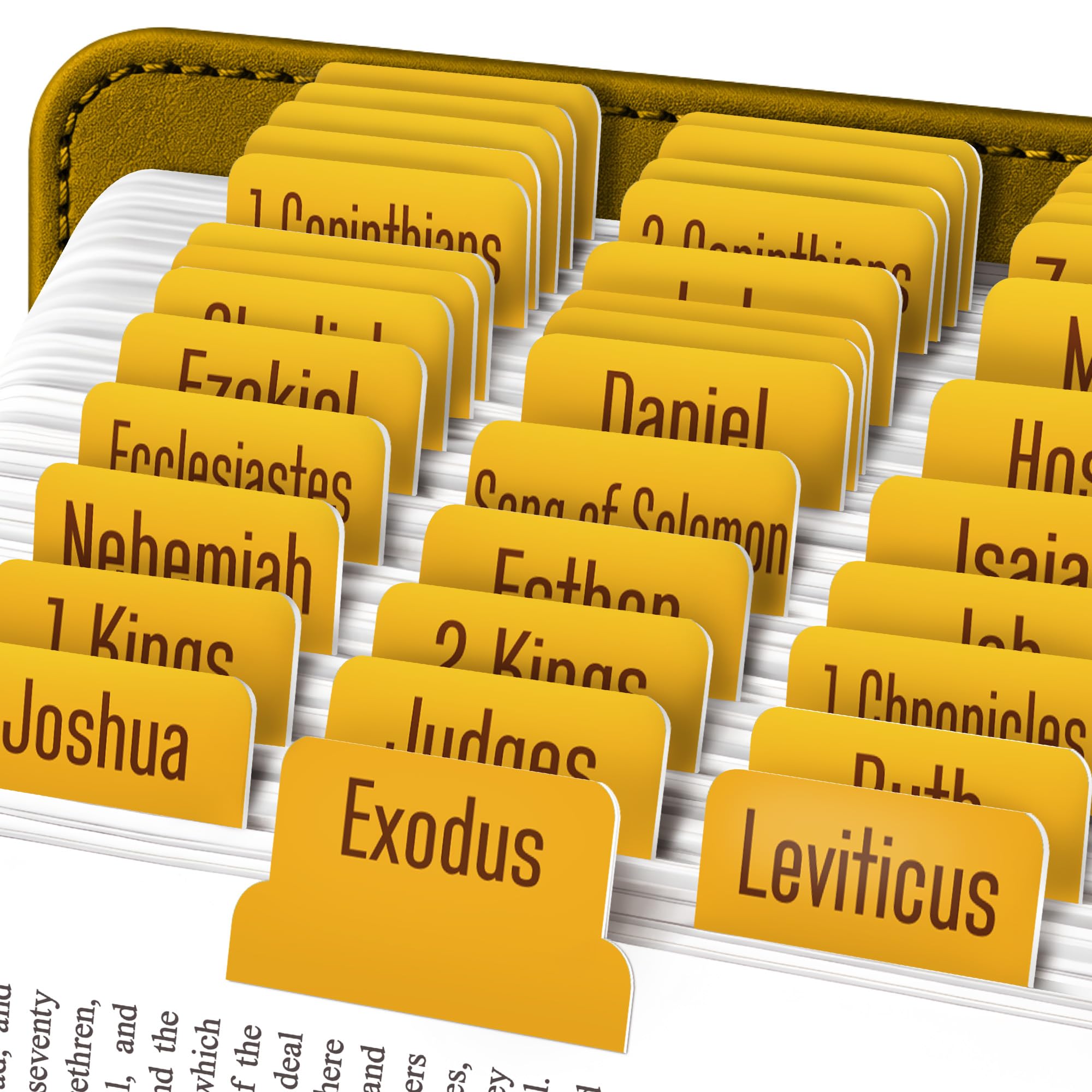 EssexWares - Amber Bible Tabs for Old and New Testament, 80 Large Print Tabs for Bible Study, Water-Resistant and Durable Index Tabs for Women and Men - 1.7" Wide