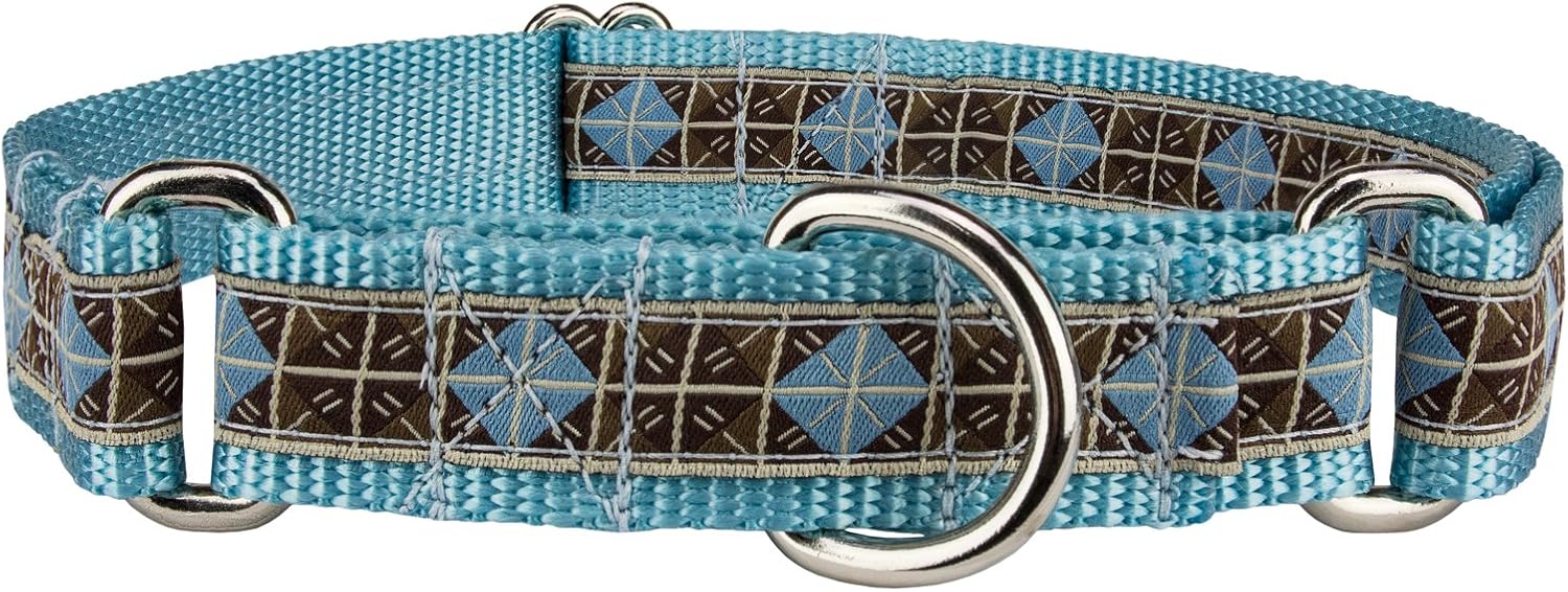Collares de Castigo y Antiescape