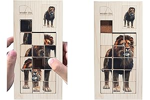 Wooden Slide Puzzle Block: Engage in the Lion's Puzzle Adventure