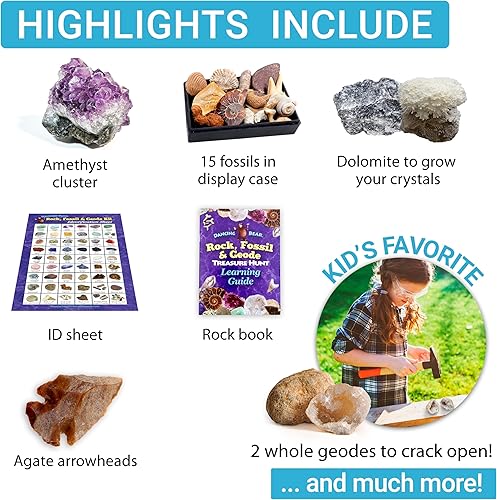 Miniatura 4 de DANCING BEAR Geology Fossil Bundle - 2 kits de actividades STEM rocas, minerales y geodas y actividad de clasificación de fósiles