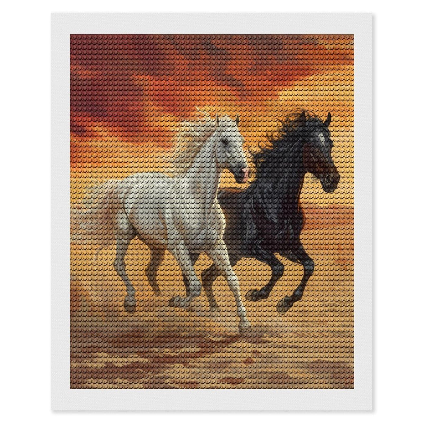 Nclqvjxzkhw Style Running White And Black Horses Diamond Art Painting For Adult Round Diamonds Pictures Arts Crafts Home Wall Decor 16"X20"