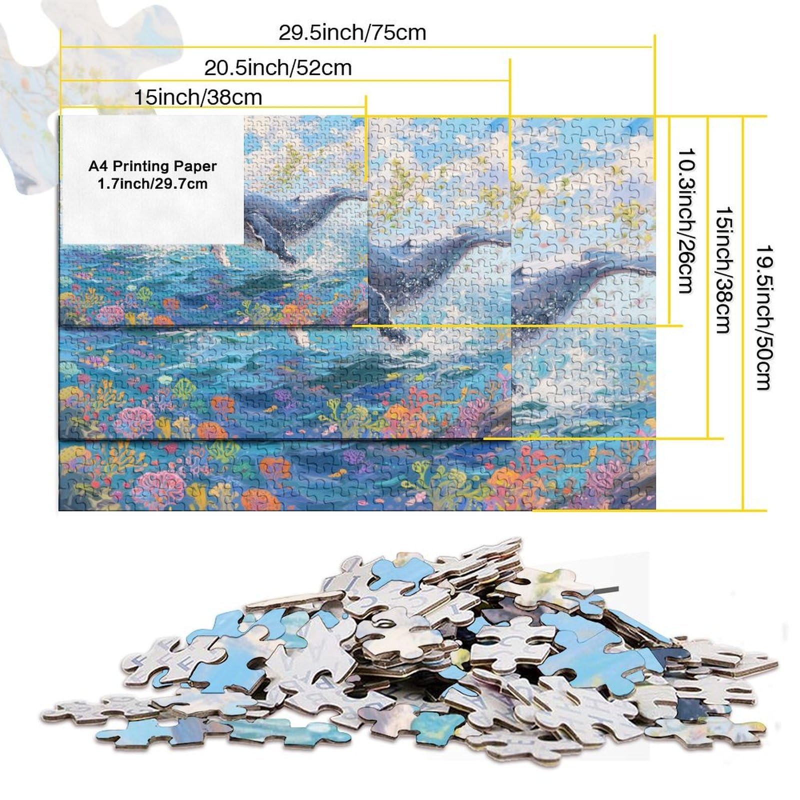 View 5