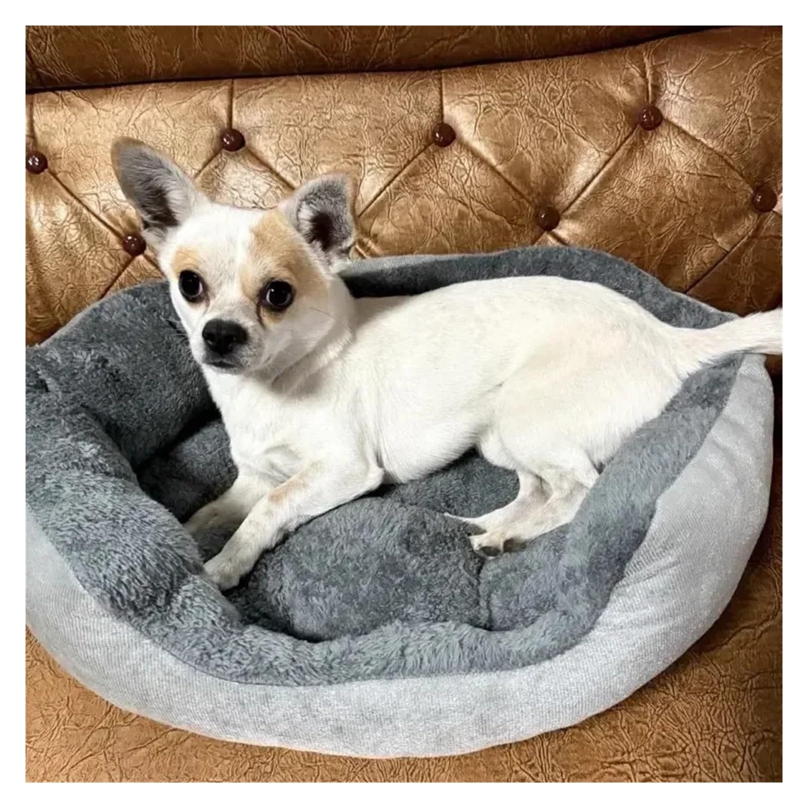 Legowiska dla zwierząt, Very Soft Warm Dog Bed