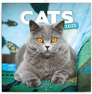 Cat Wall Calendar 2023 - Brochure Calendar with Monthly Calendar Cat Wall Calendar 2023 - Brochure Calendar with Monthly Calendar