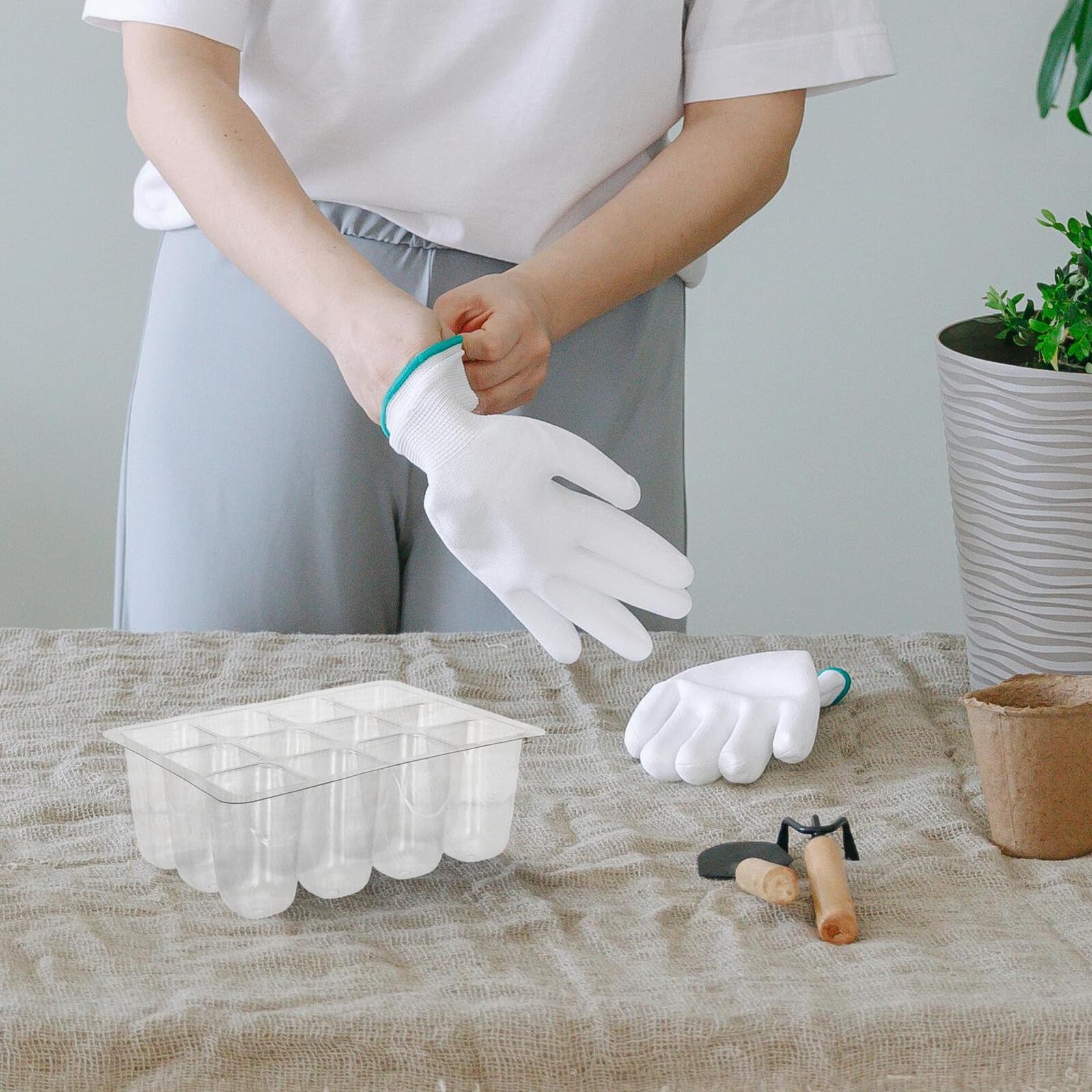 Bandejas de Germinación de Plántulas Transparentes de Plástico 30 Piezas | 12 Celdas con Orificios de Drenaje, Reutilizables, para Jardinería Interior y Plantas Ornamentales
