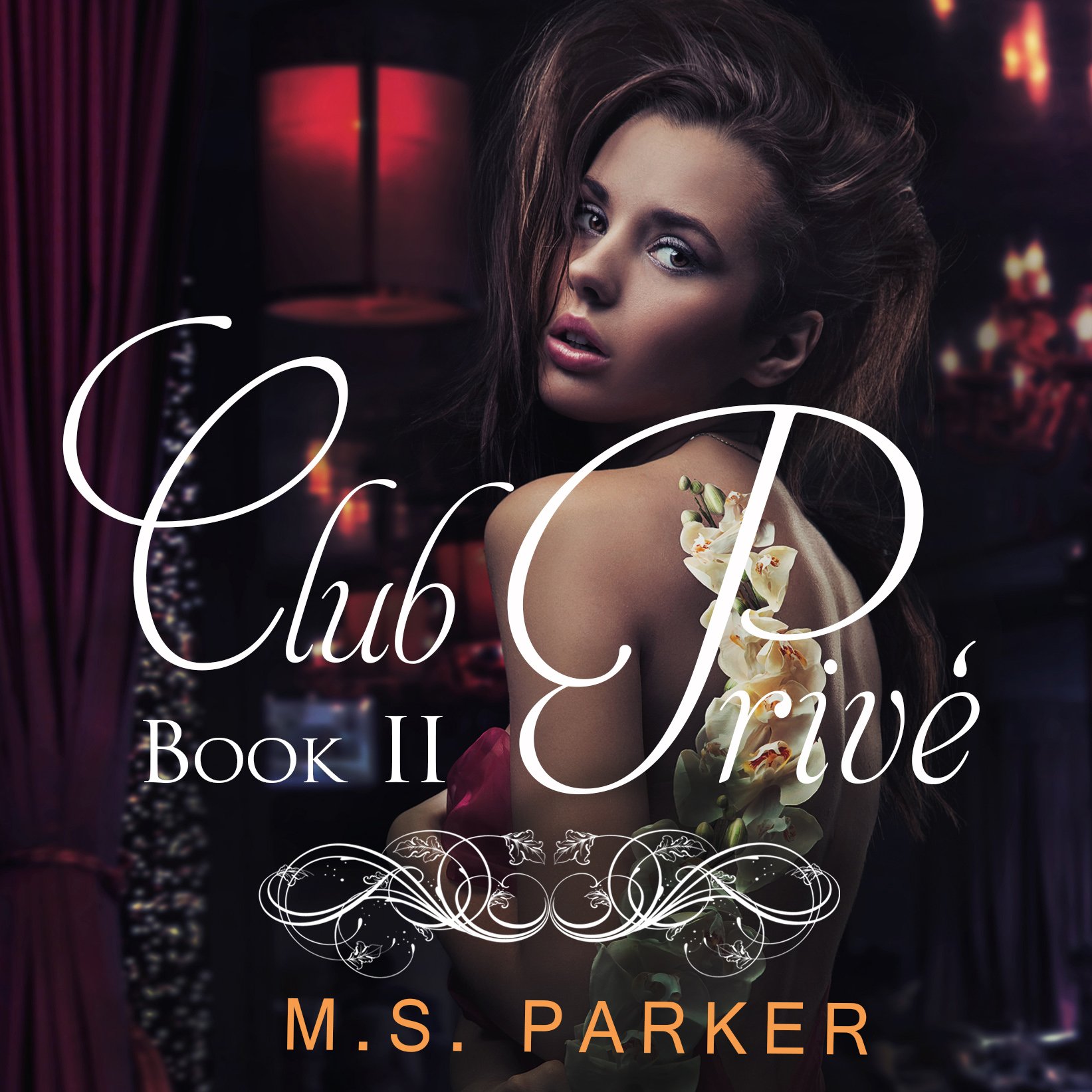 Cover art for Club Prive Book 2