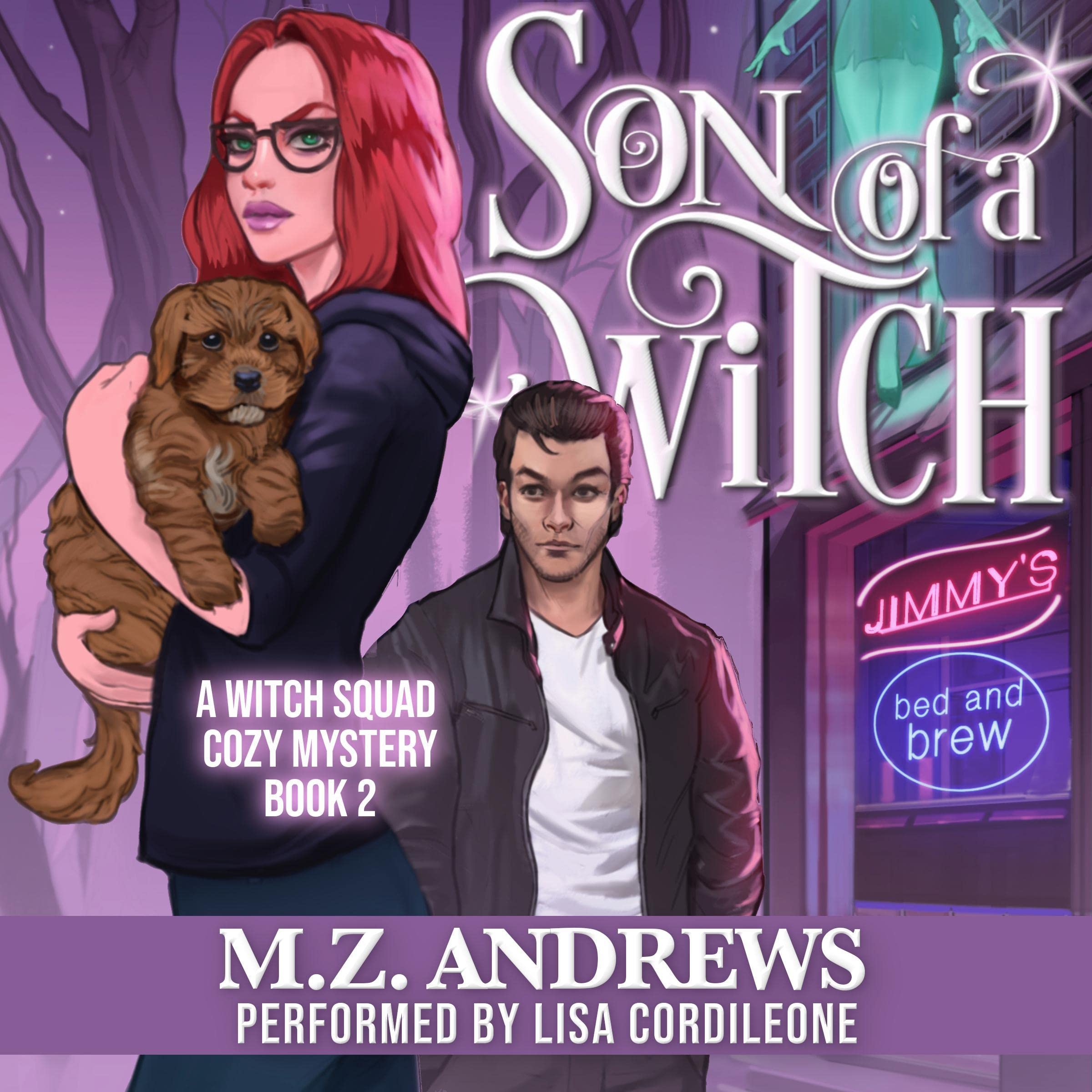 Cover art for Son of a Witch