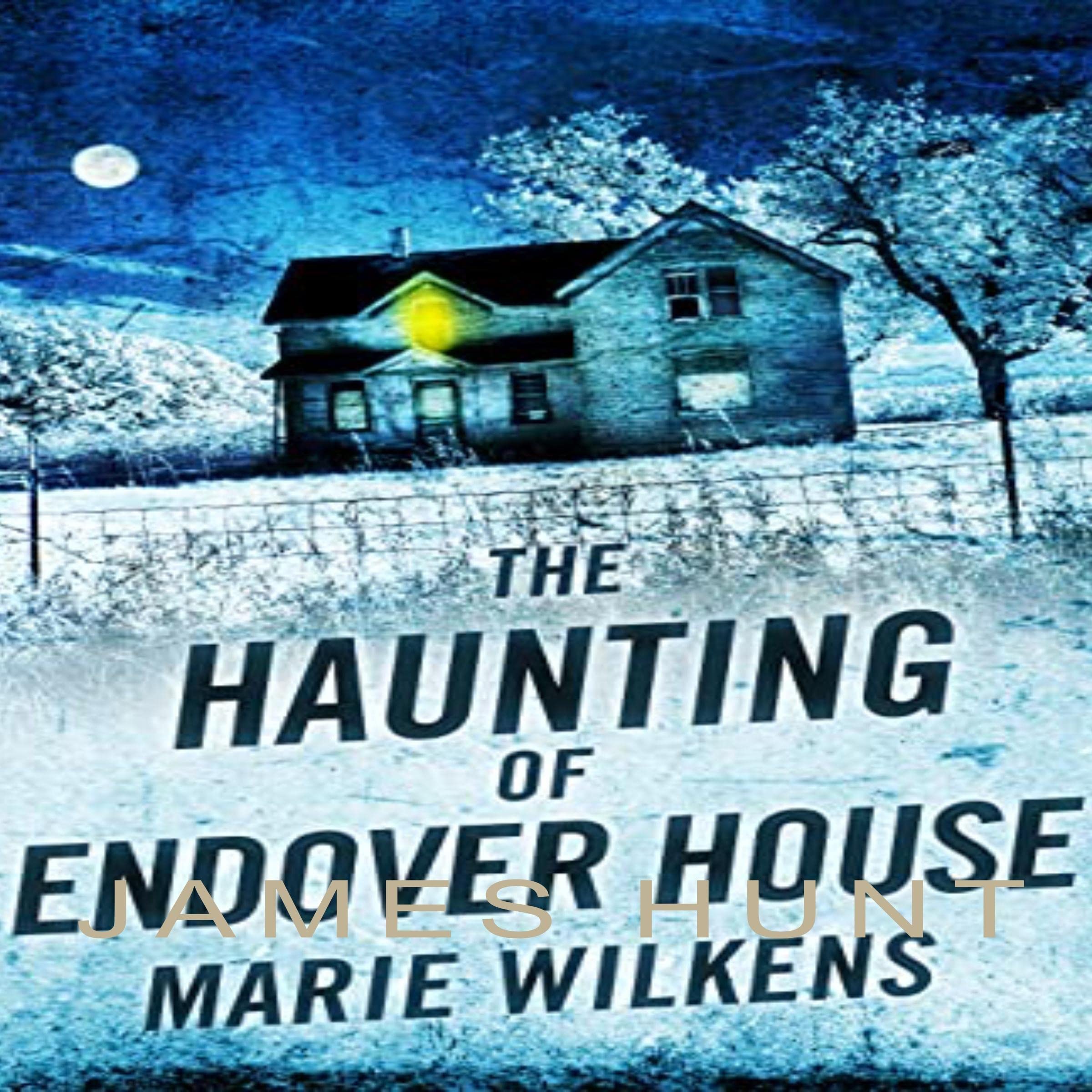 Cover art for The Haunting of Endover House