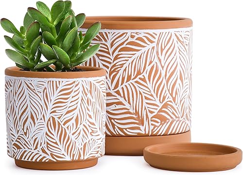 D'vine Dev Juego de 2 macetas de terracota, maceta con patrón de hojas, 4 y 6 pulgadas, maceta con orificio de drenaje y platillo, terracotablanco,