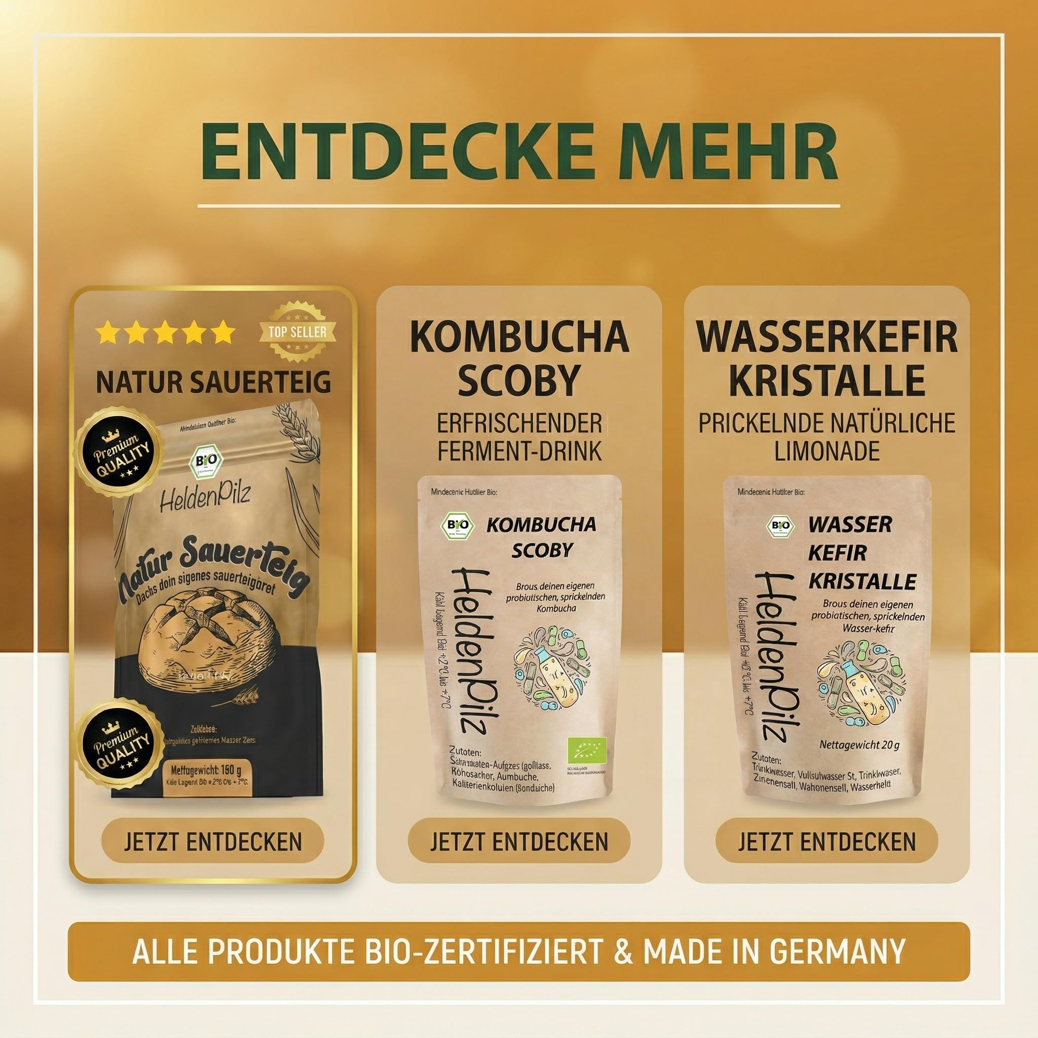 HeldenPilz | Masa agria orgánica fresca | Set para hornear pan + regalo | hacer pan crujiente tú mismo, incluye instrucciones y recetas, ingredientes 100% naturales (centeno para iniciar la levadura