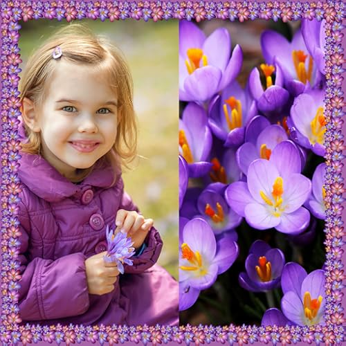 Crocus Photo Collage