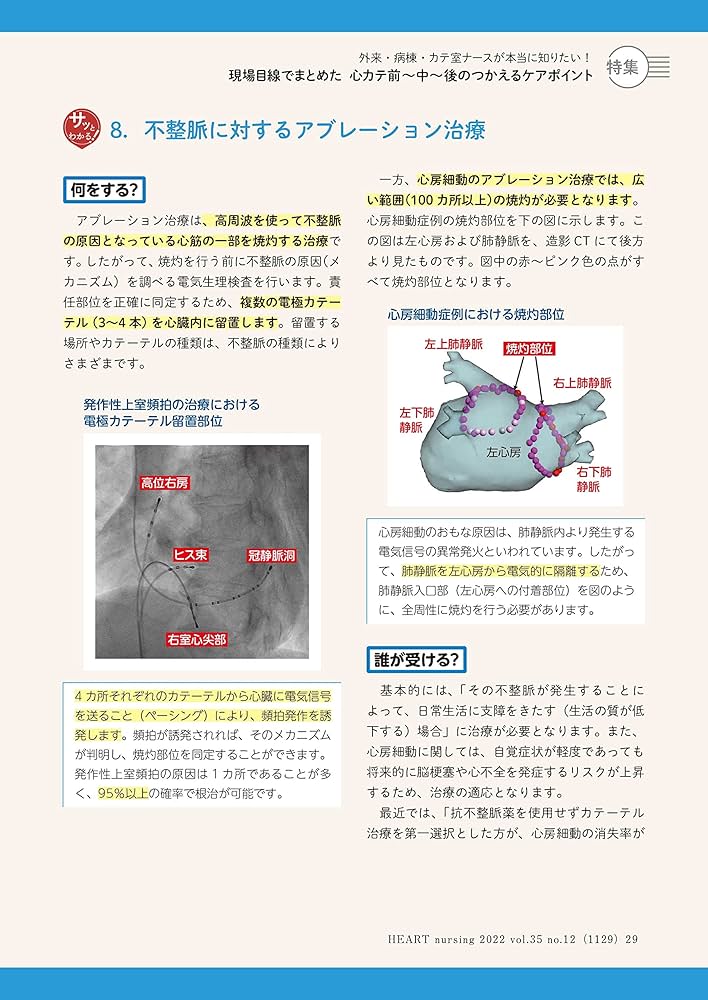 ハートナーシング 2022年12月号(第35巻12号)特集: 外来・病棟