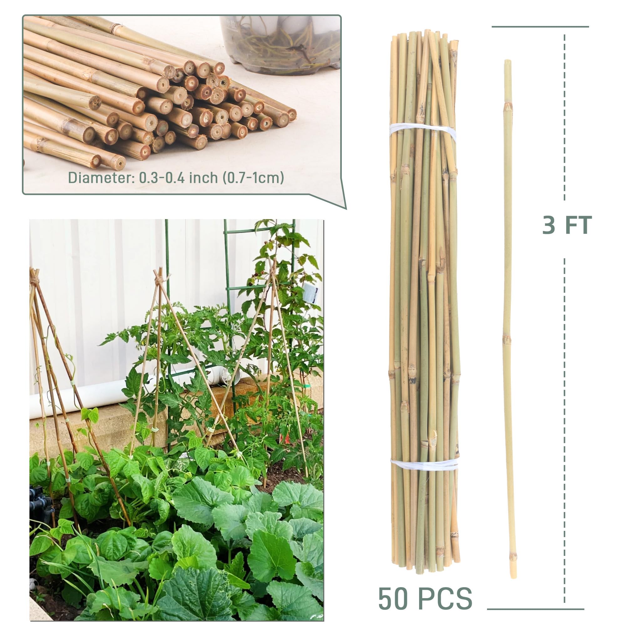 Bambus-Pflanzstäbe für Innen- und Außenbereich, Gartenpflanzenstangen, Stangen für Tomaten, Gemüse, Bohnen, Bäume, Topfpflanzen, Kletterpflanzen, 50 Stück