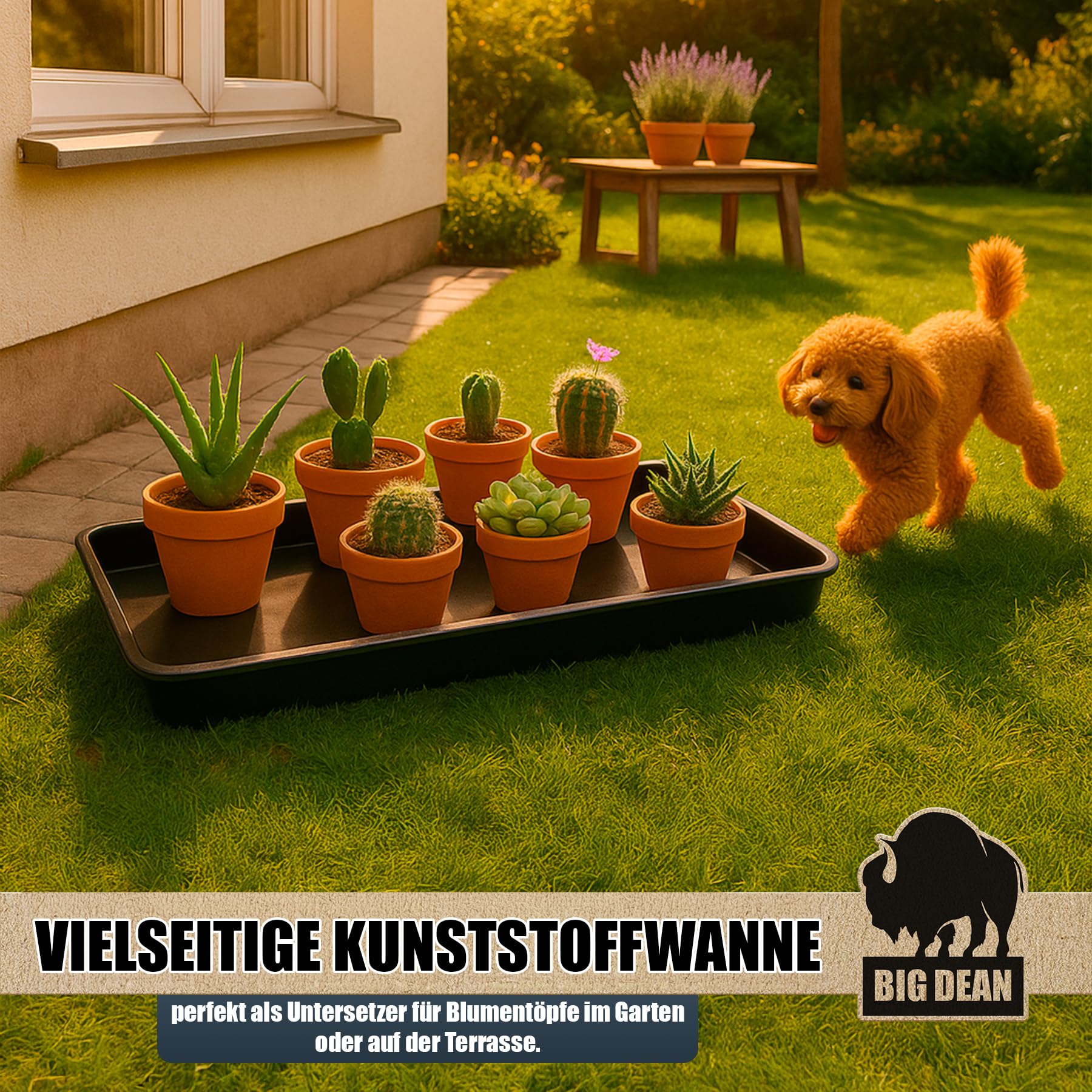 BigDean XL Wanne Universal als Pflanzschale Ölwanne Katzenklo Schuhabtopfschale Made in Europe