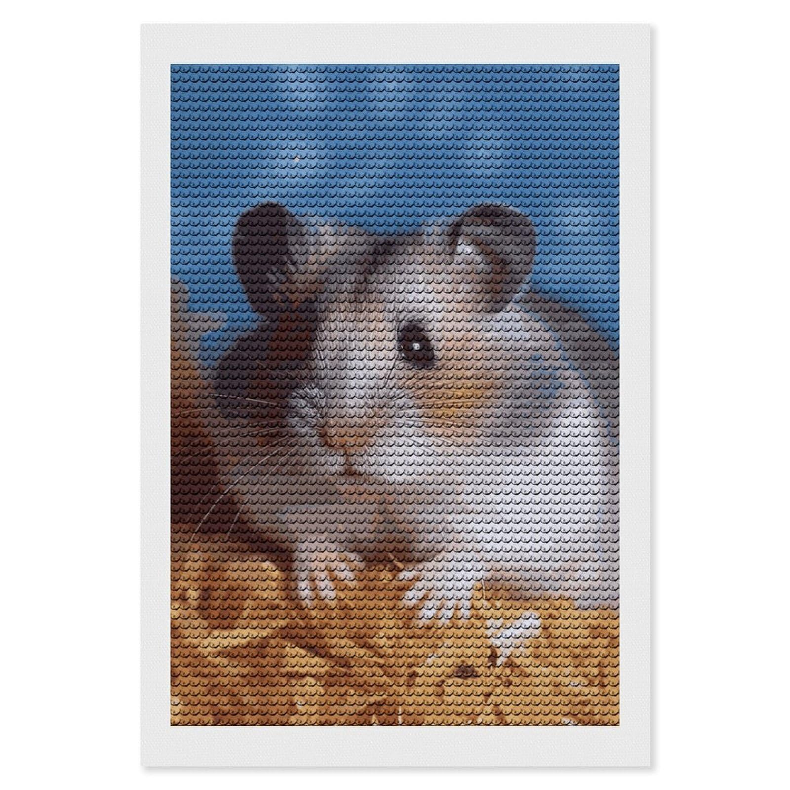 DWVTSLH Hamster Diamond Painting Kits for Adults, Personalized Diamond Photo Art Full Drill, DIY 5D Diamond Art Painting Kits for Beginners, Home Wall Decor 8"x12"