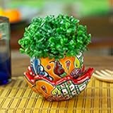 NOVICA Artisan Handmade Ceramic Flower Pot Floral with Saucer Multicolor Red Mexico Outdoor Living Garden Decor Traditional 'Talavera Eden in Strawberry'