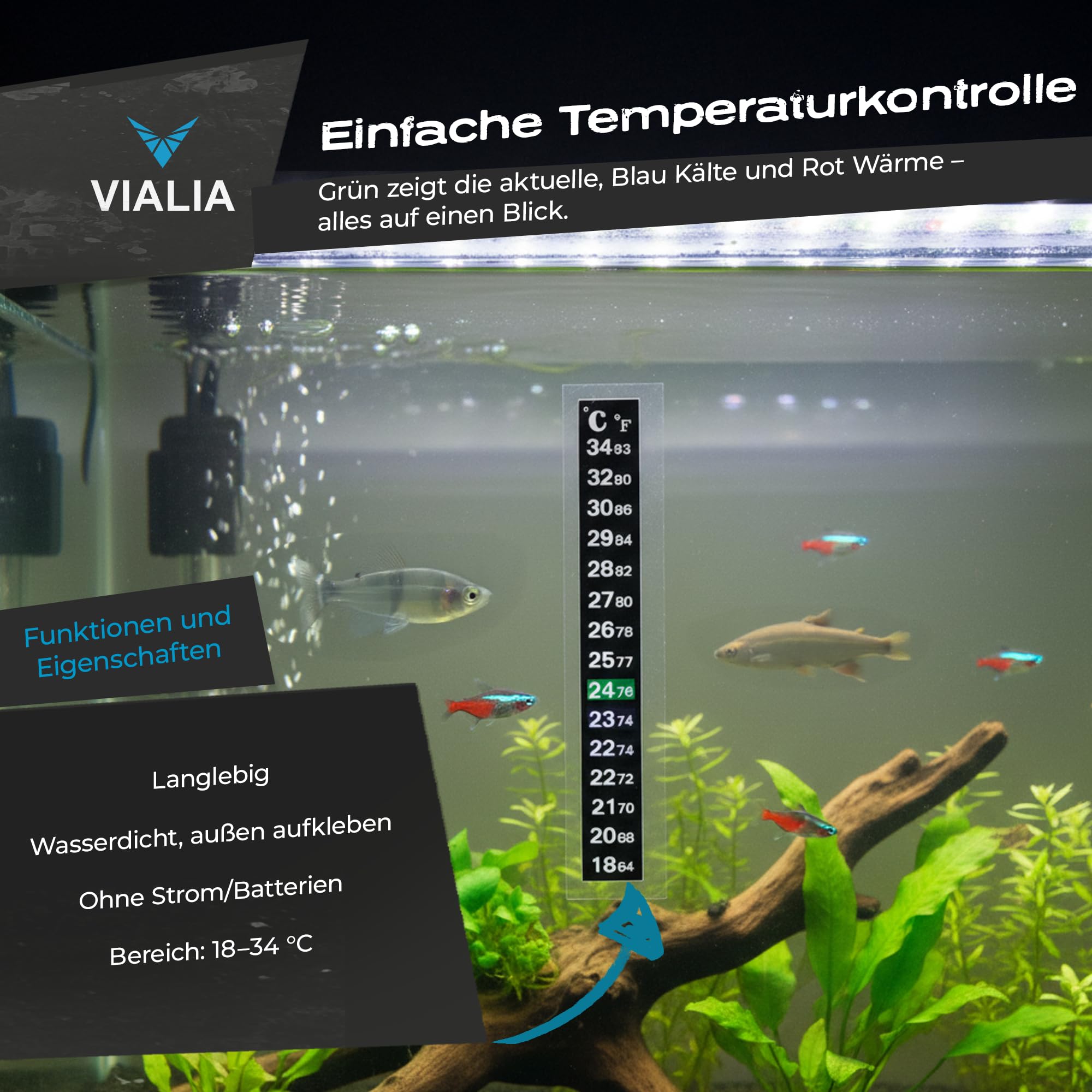 Aquarium Komplettset 54L (60x30x30 cm) mit Juwel LED Abdeckung weiß | Starter-Set inkl. Heizer, Thermometer, Futter & Wasseraufbereiter | Robustes Floatglas Becken | Ideal für Einsteiger