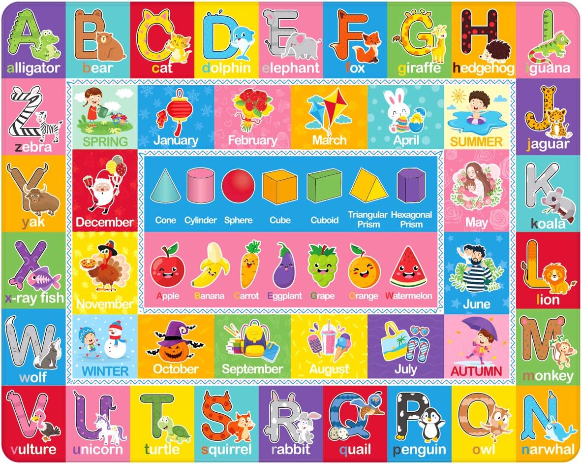 Amazon.com: AKASISRUG Kids Rug for Playroom, ABC Alphabet, Month ...