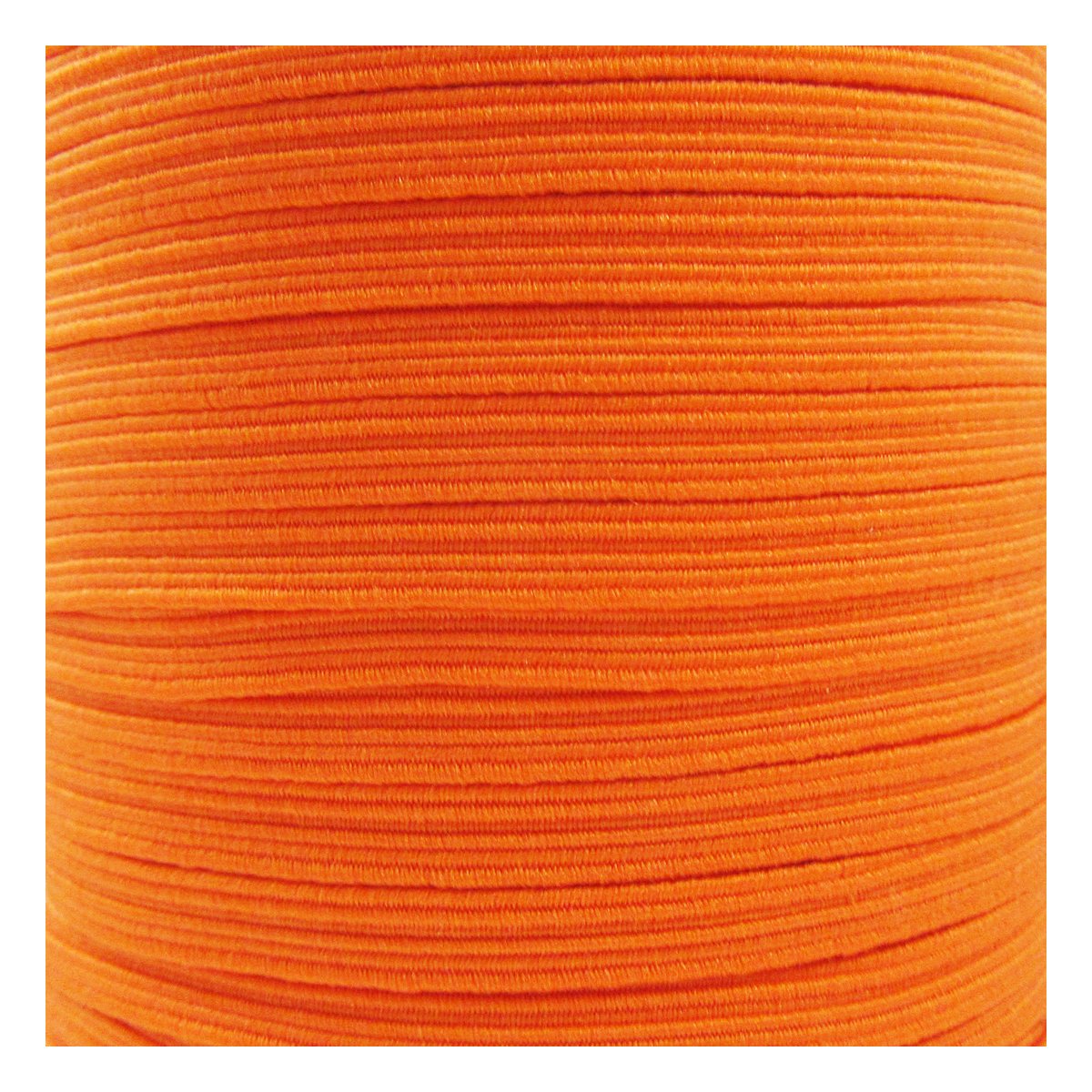 Beads4crafts 6mm COLOURED FLAT ELASTIC TRIM *22 COLOURS* CORD TRIMMING STRETCHY RIBBON (5 Metres, Orange (H3062))