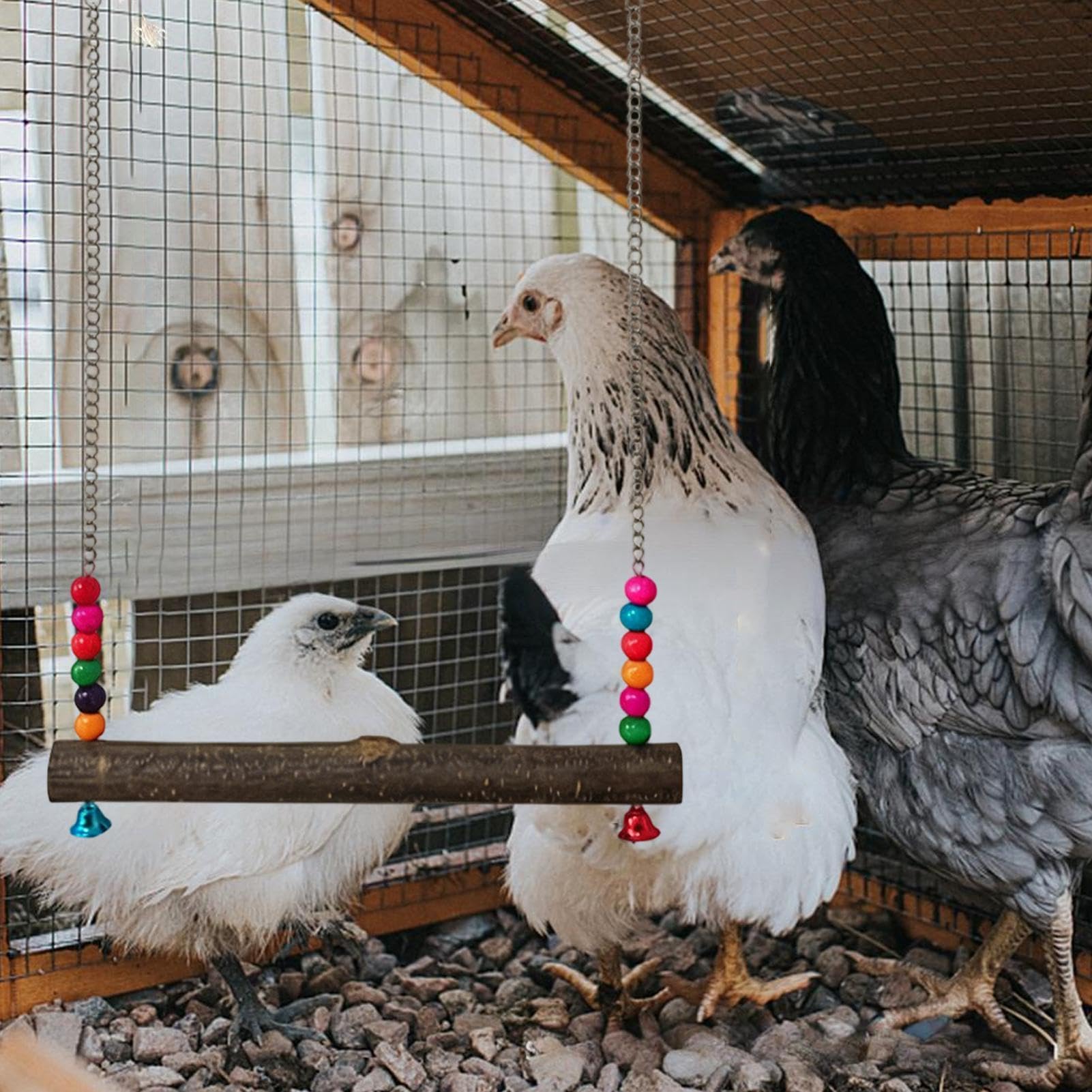 Altalena Per Pollaio, Uso Adatto Al Gallo, 45x30x2 Cm, Altalena Per In Legno Naturale Sospesa, Trespolo Per Gallo A, Installazione Facile, Da Masticare, Gabbia
