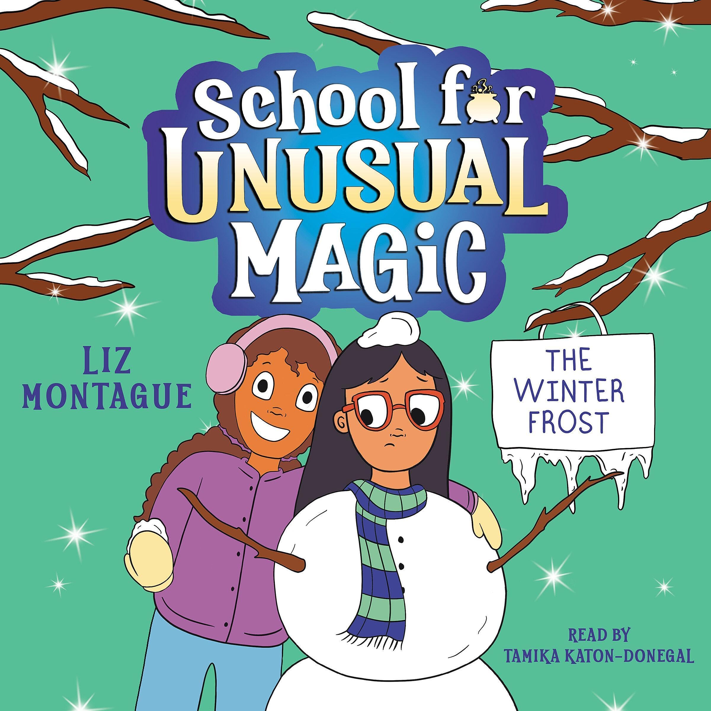 Cover art for The Winter Frost