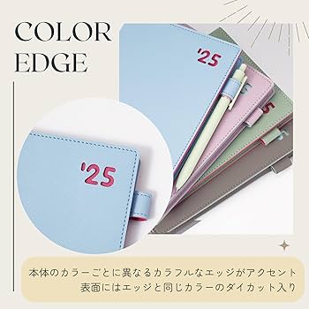 Amazon.co.jp: レイメイ藤井 手帳 2025年 スケジュール帳 カラー