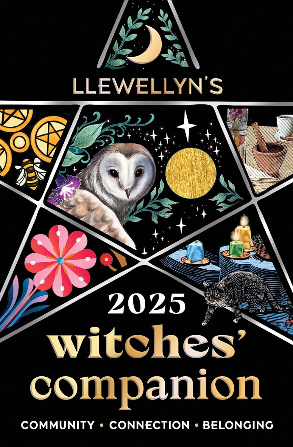 Llewellyn's 2025 Witches' Companion: Community Connection Belonging (Llewellyn's 2025 Calendars, Almanacs & Datebooks, 16) - Image 1