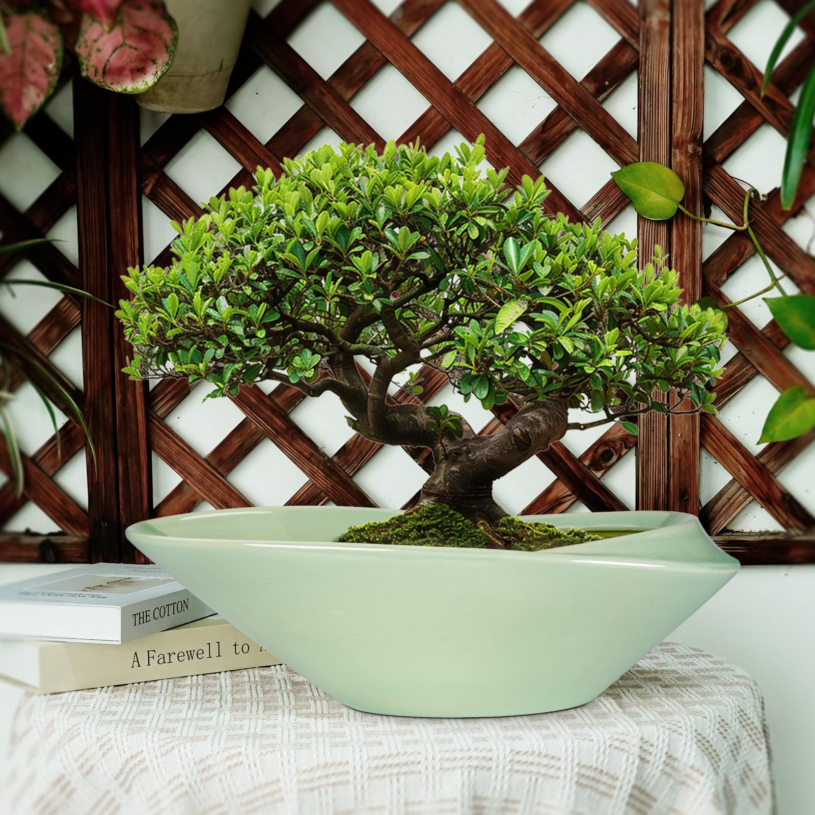 Bonsai-Topf aus Keramik, 45,7 cm, Pflanzgefäß mit Ablaufloch, großer moderner Bonsai-Pflanzgefäß, dekorativer Sukkulenten-Blumentopf für Zimmerpflanzen, Outdoor, Grün