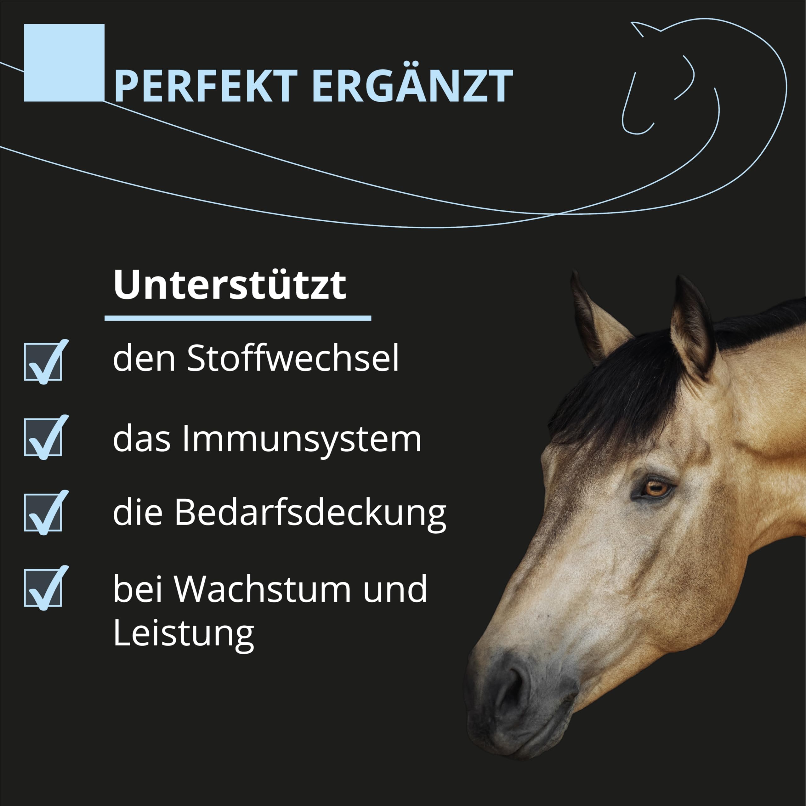 HAEMOFERAN Liquid 1l – mit Vitaminen, Spurenelementen, Zink, Kupfer Ergänzungsfuttermittel für Pferde – stärkt das Immunsystem bei erhöhtem Nährstoffbedarf