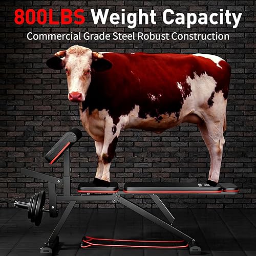 Miniatura 5 de Banco de pesas ajustable de 882 libras, banco de entrenamiento plegable, banco de ejercicios inclinado, banco de ejercicio para gimnasio en casa,