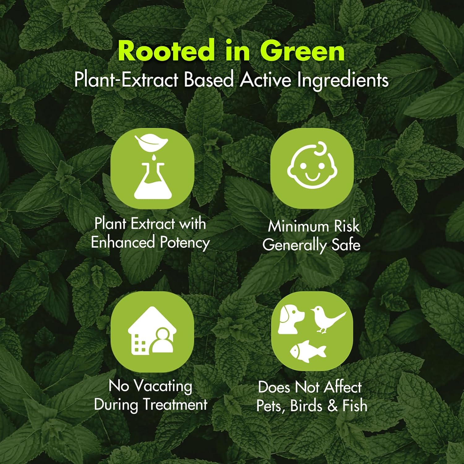 EcoVenger Roach & Ant Killer 16OZ, Kills on Contact, Extended 4-Week Deterrence, Kills Cockroaches, Ants & Other Indoor & Outdoor Crawling Insects, Peppermint Oil, Non-Toxic, Safe for Children & Pets - Image 8